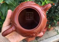 《魚化龍套組》