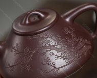 瓣生香獨(dú)傲寒，此梅難并眾梅看。 【