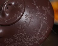 瓣生香獨(dú)傲寒，此梅難并眾梅看。 【