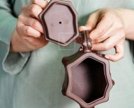 《樹(shù)樁套組》