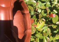 葵仿古；大紅袍450CC